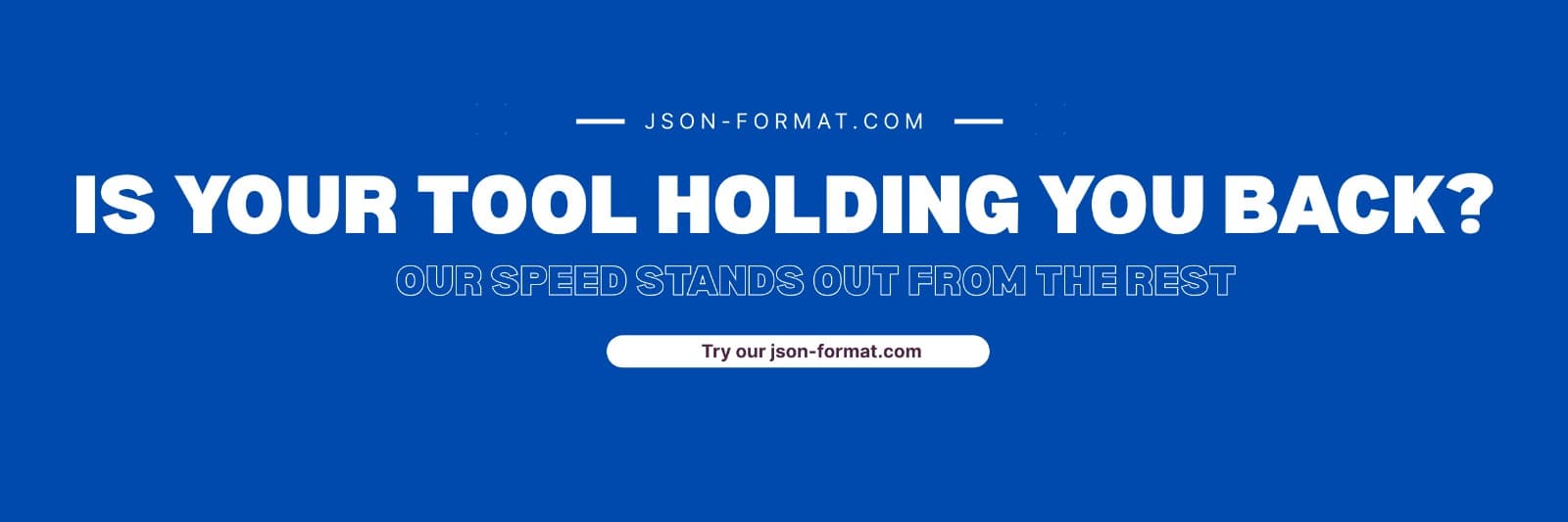 Go to JSON Format Features